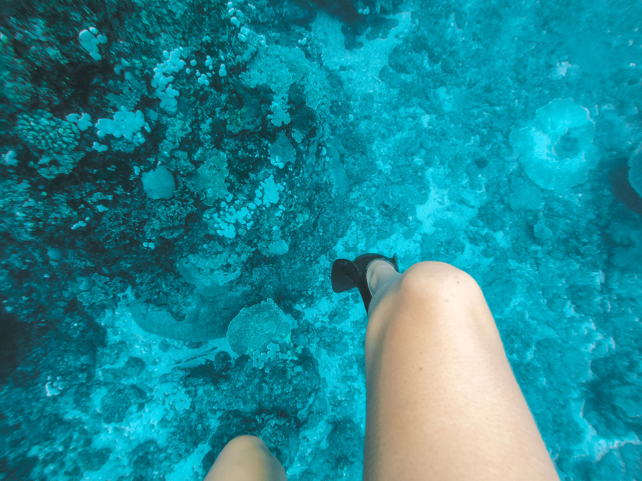 LOW SECTION OF WOMAN LEGS IN SEA