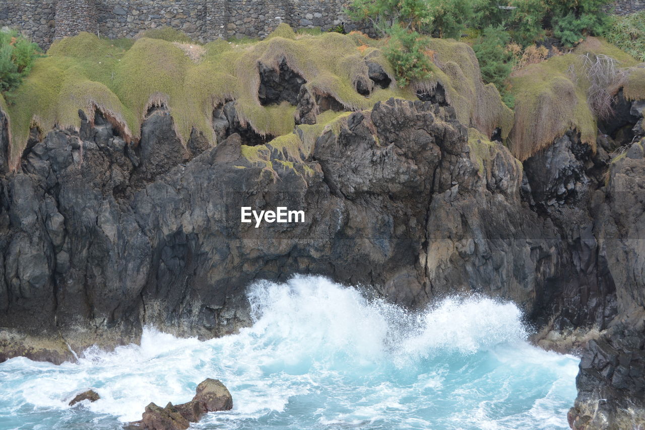 Shoreline barbados 