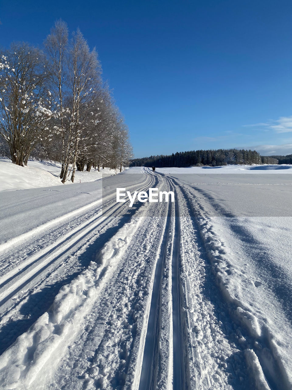 Ski tracks in the winter 