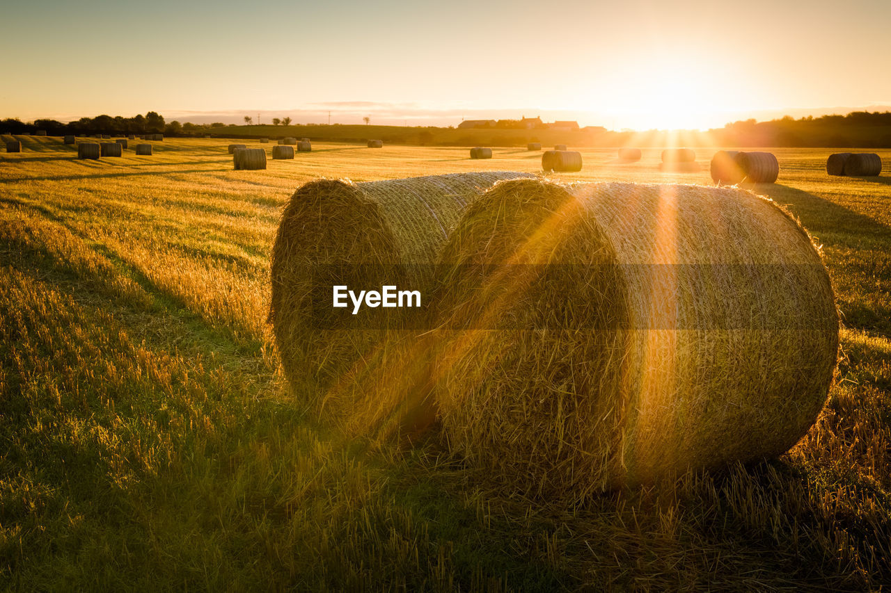 Hay bales on field against sky during sunset