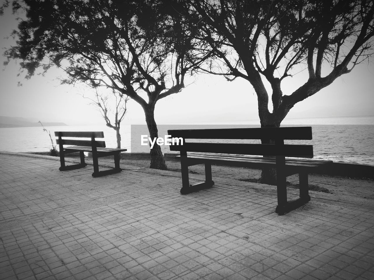 Empty benches overlooking calm sea