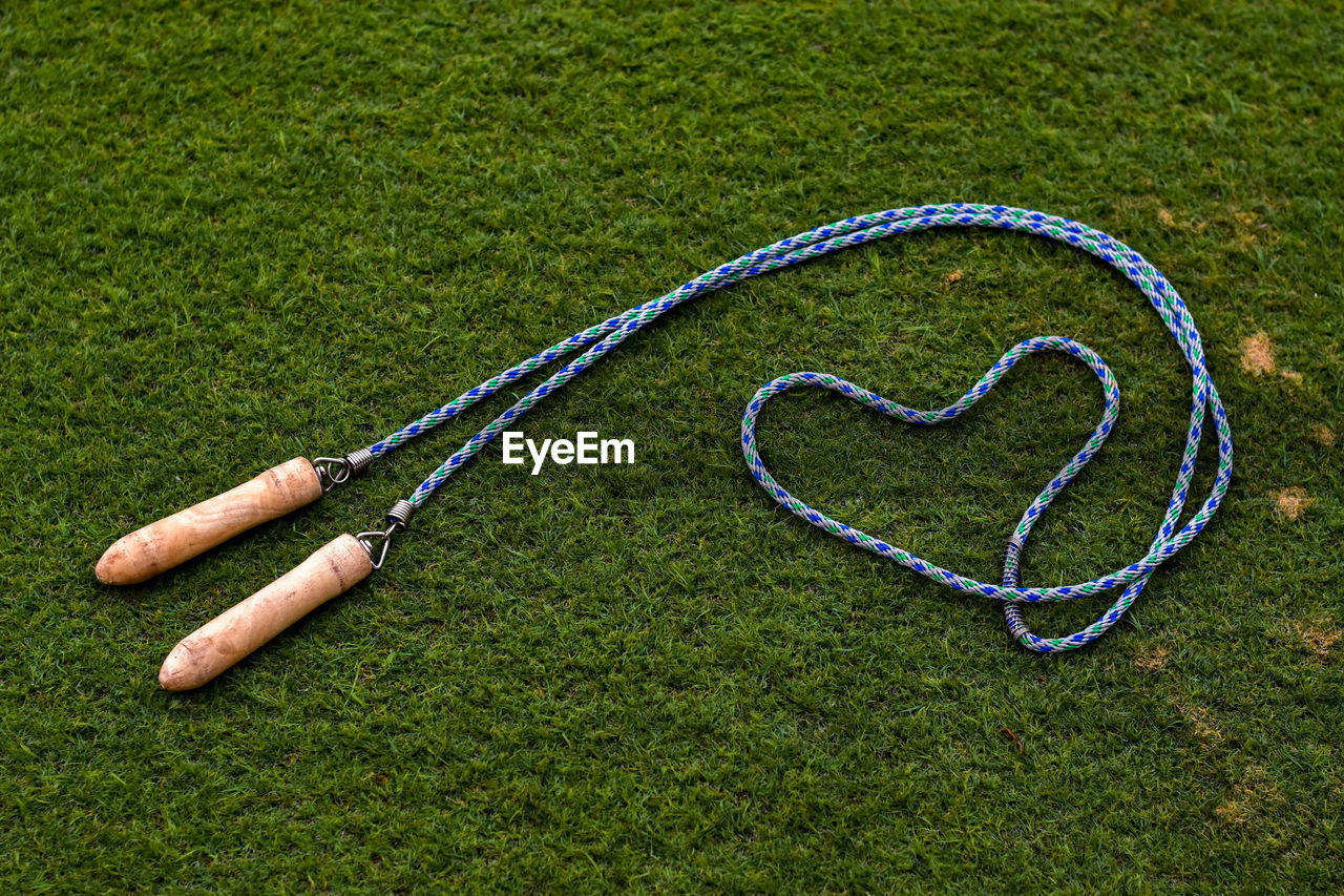 HIGH ANGLE VIEW OF HEART SHAPE ON FIELD IN PARK