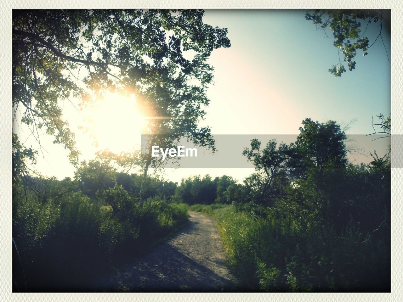 Bright sun shining over empty footpath in green landscape