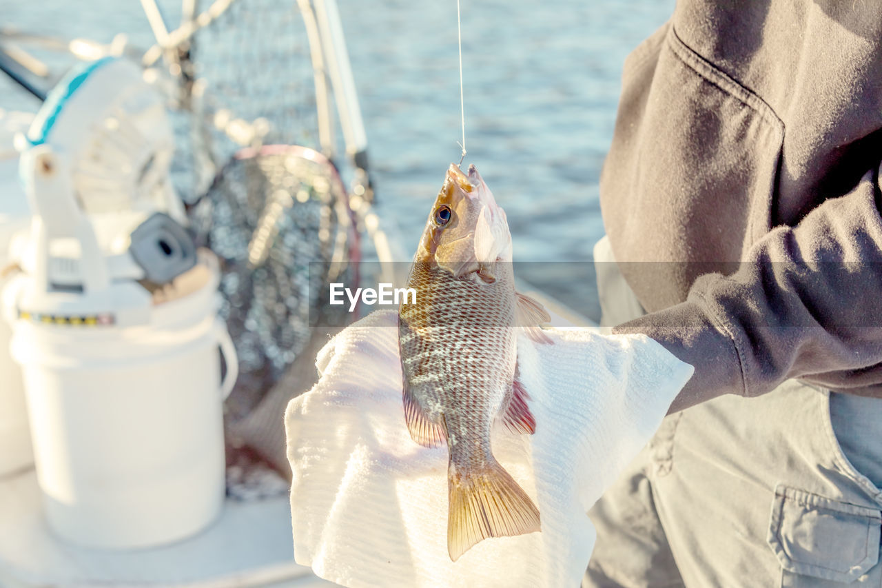 Midsection of man holding fish on hook 