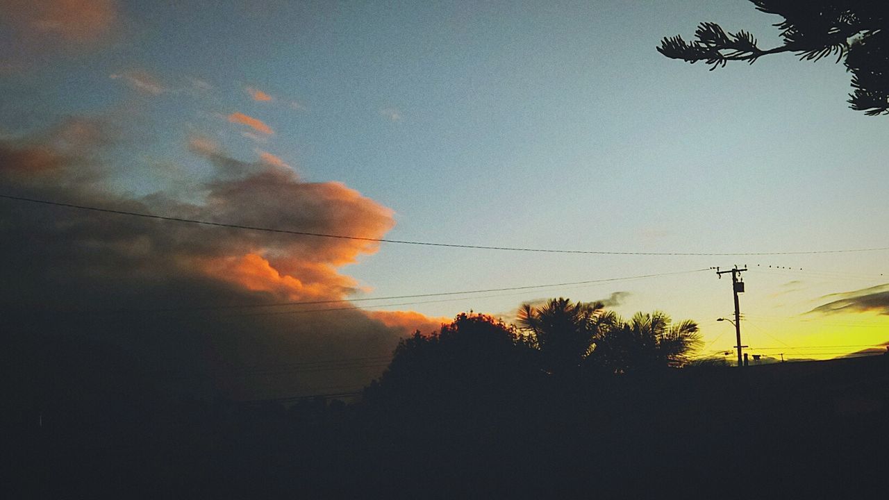 Low angle view of silhouette trees against sky at sunset