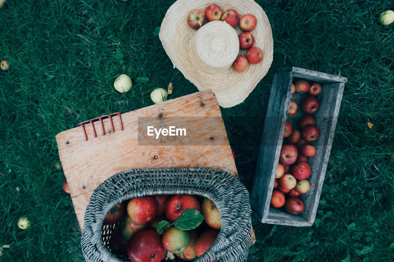 Close-up of apples on field