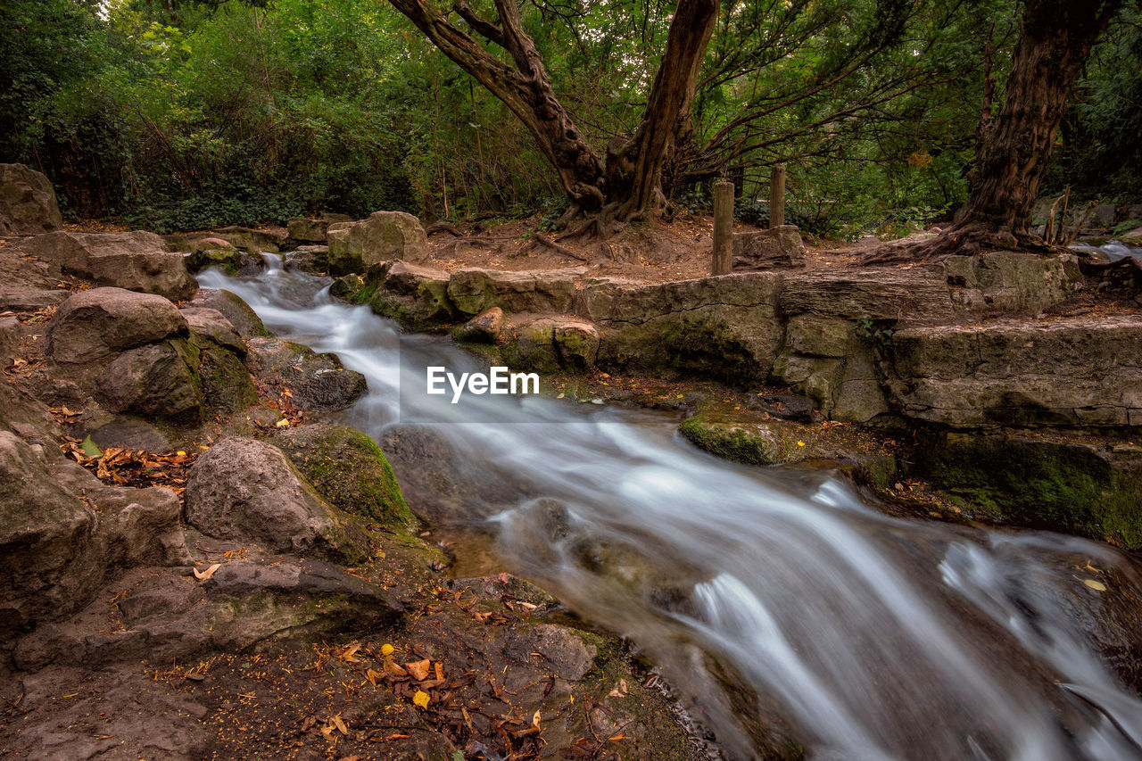 nature, tree, forest, water, stream, beauty in nature, wilderness, river, land, autumn, scenics - nature, plant, creek, body of water, flowing water, leaf, motion, environment, waterfall, watercourse, long exposure, natural environment, rock, woodland, no people, flowing, rapid, water feature, non-urban scene, landscape, outdoors, tranquility, blurred motion, travel destinations, tranquil scene, idyllic, rainforest, day, wet, growth, travel, moss, state park, tree trunk, tourism