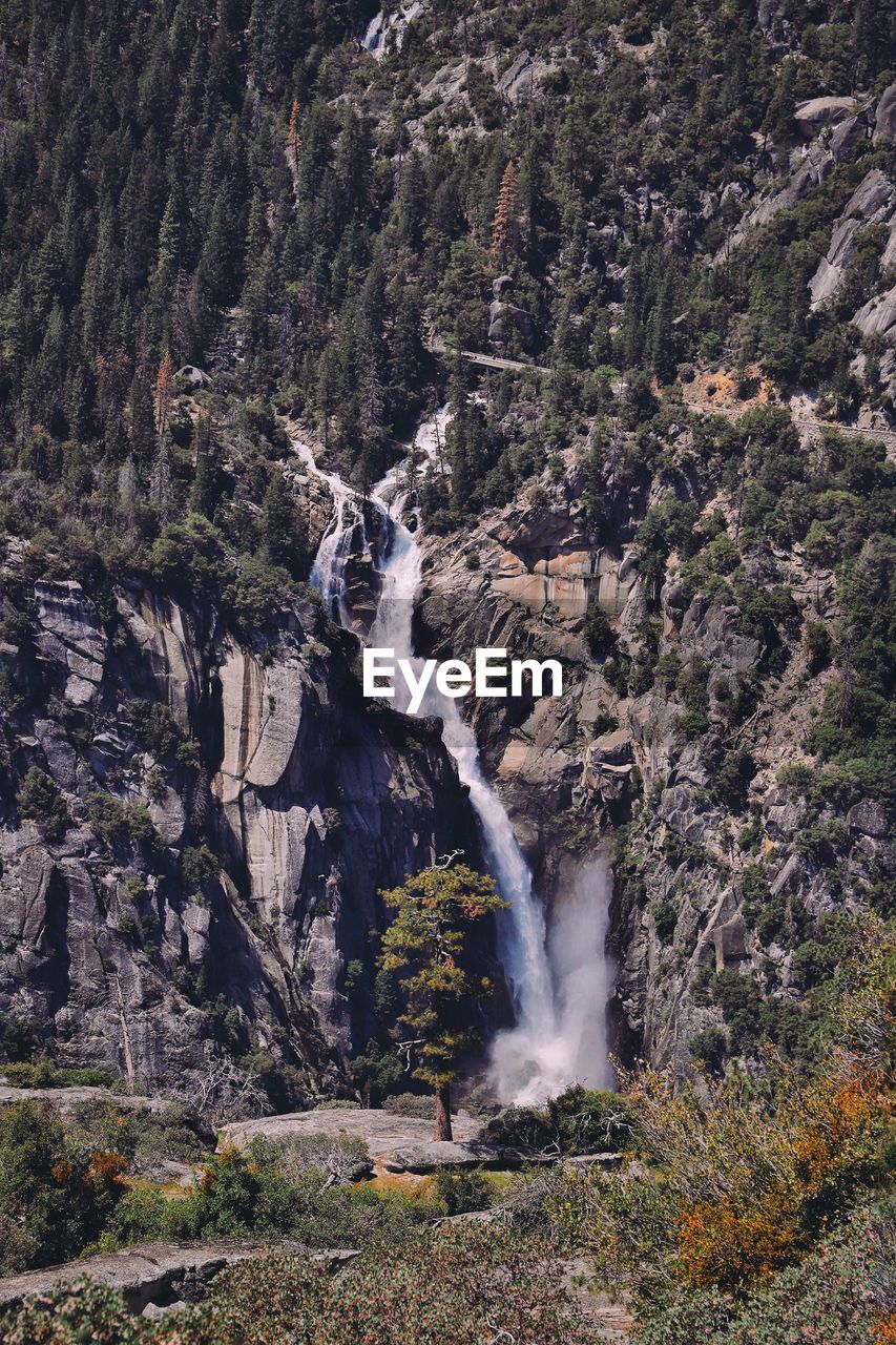 Scenic view of waterfall in forest