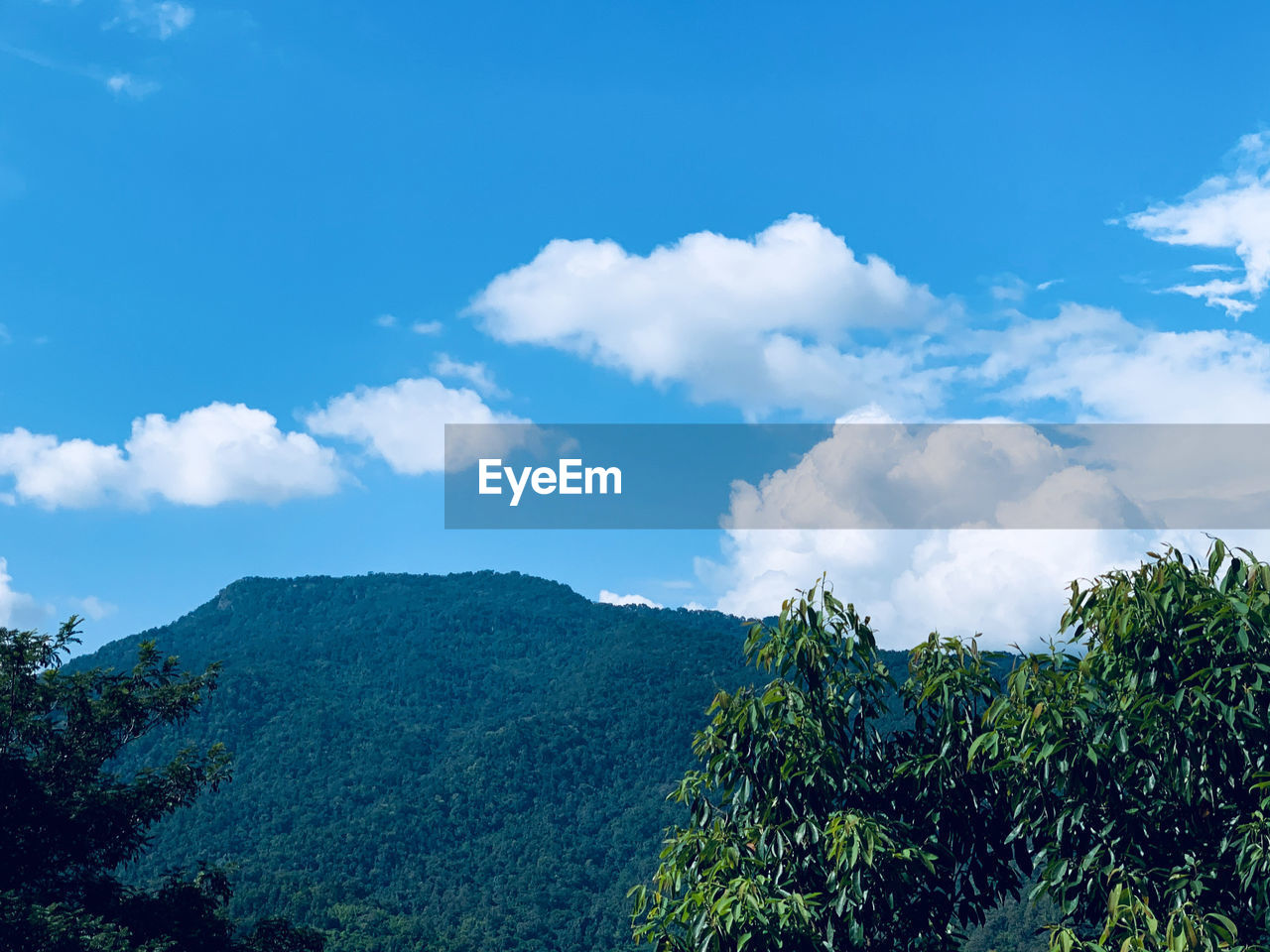 SCENIC VIEW OF TREE MOUNTAINS AGAINST SKY