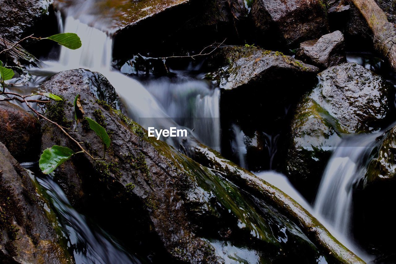 WATER FLOWING THROUGH ROCKS IN FOREST