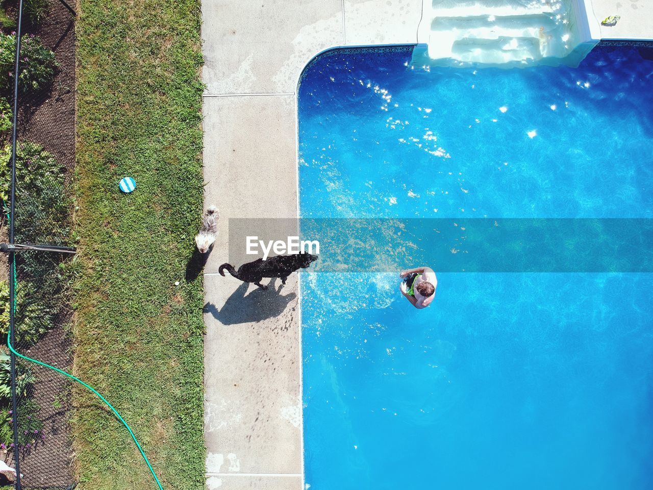 Directly above shot of man in swimming pool