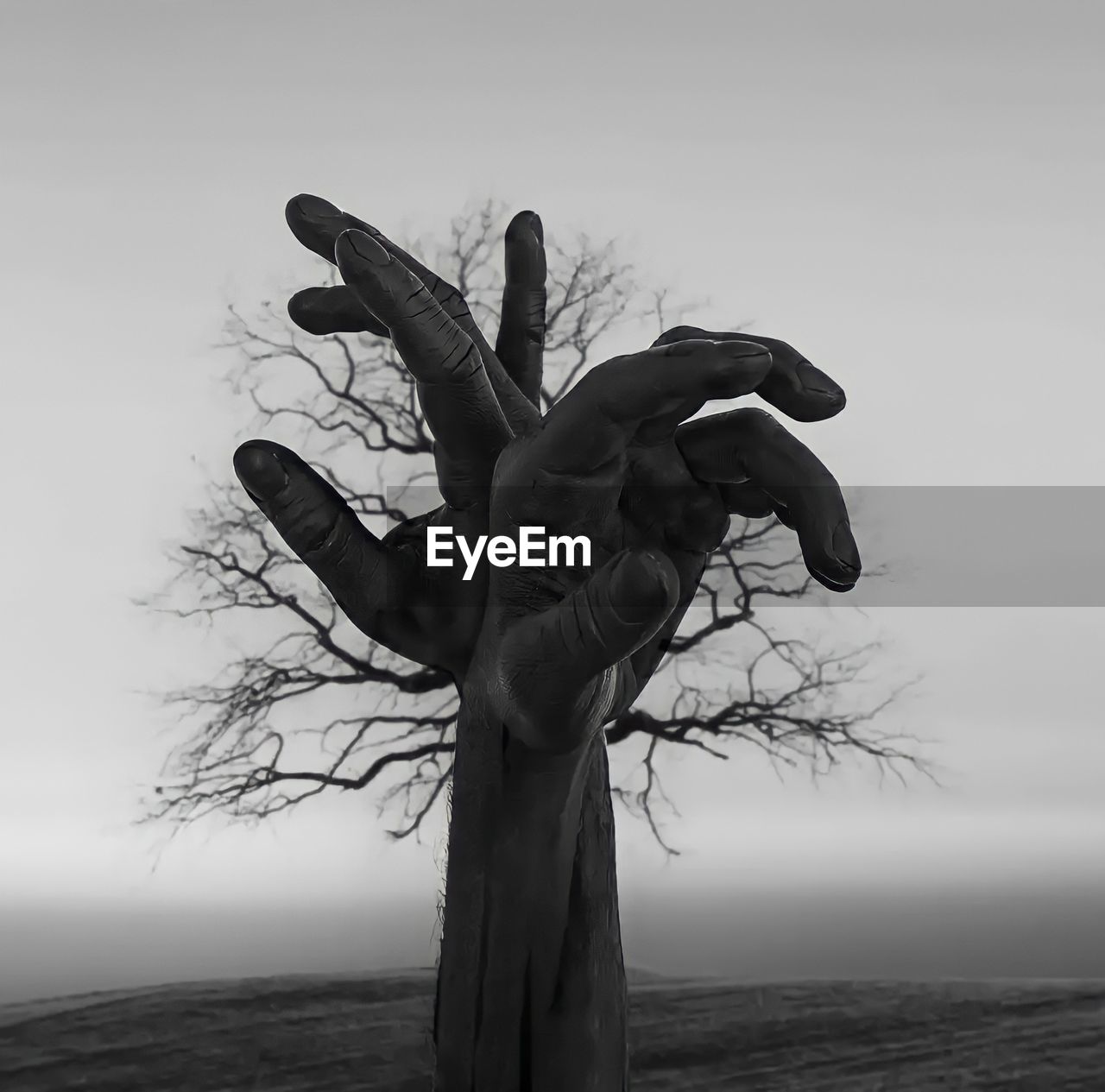 Digital composite image of hands against tree