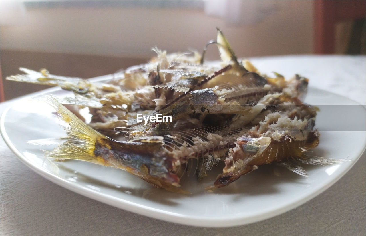 CLOSE-UP OF DEAD FISH IN PLATE