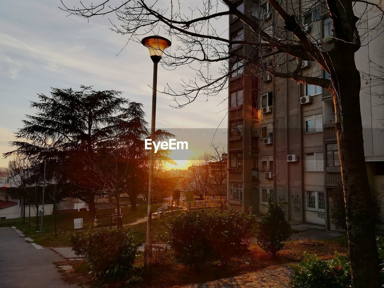 ILLUMINATED STREET LIGHT IN CITY