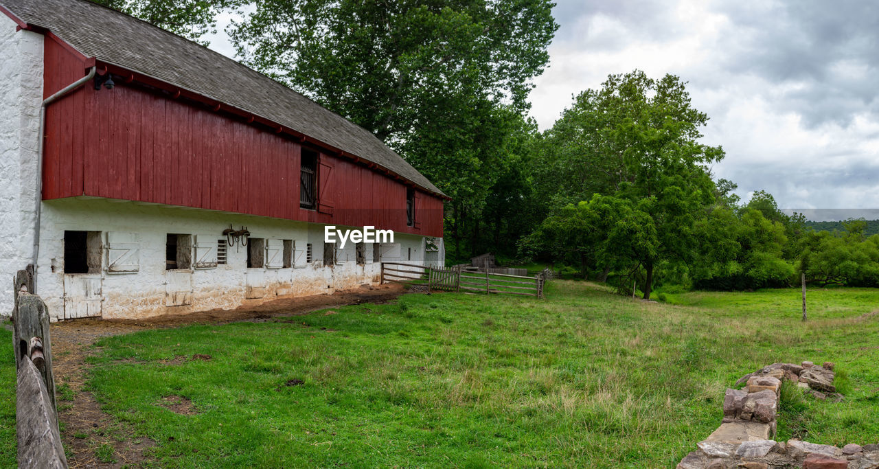 HOUSE AMIDST TREES AND PLANTS ON FIELD