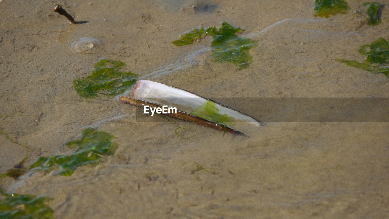 HIGH ANGLE VIEW OF SAND ON WATER