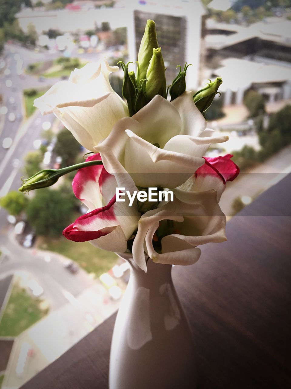 High angle view of roses in vase on table by window at home