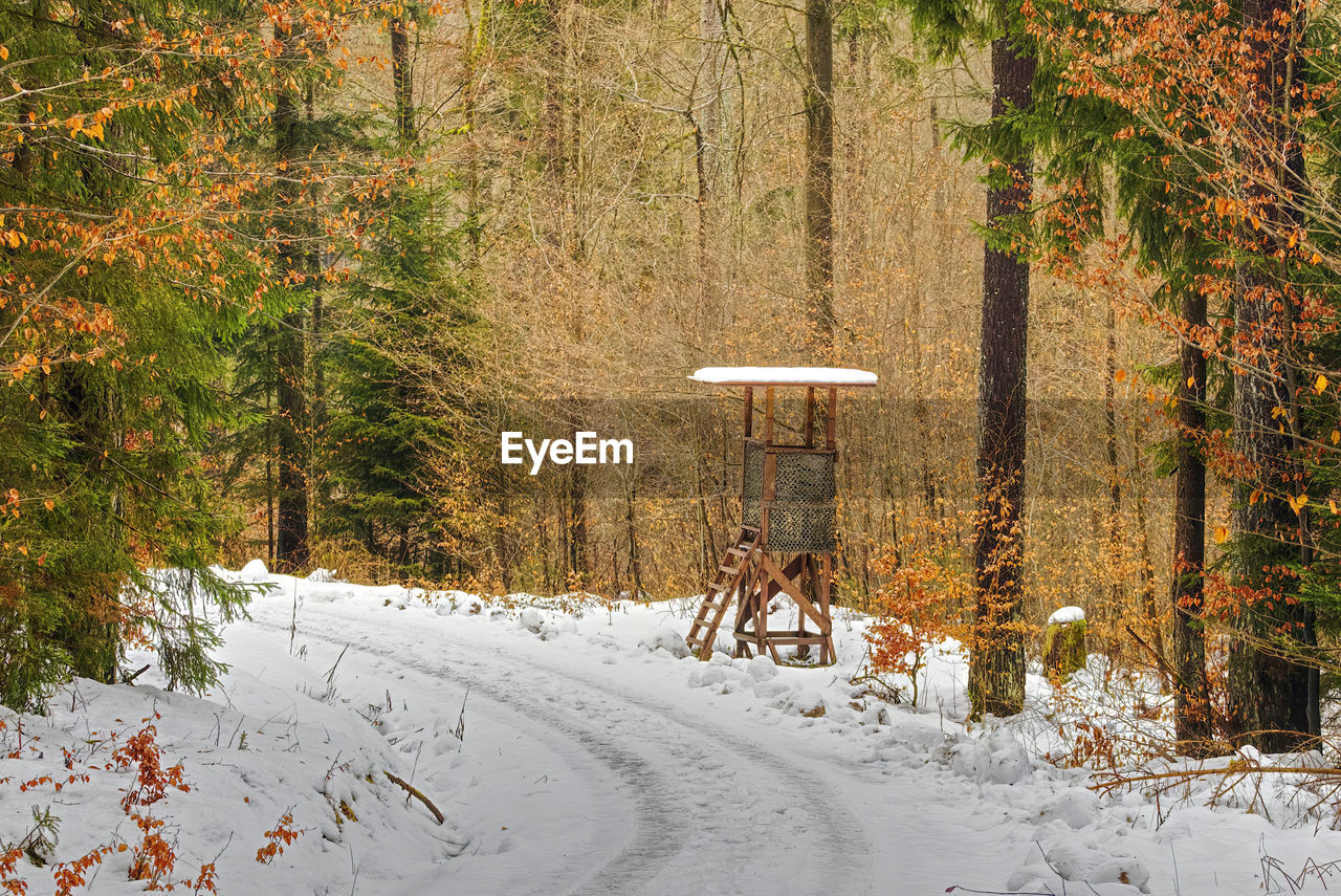 Deerstand at a winterly forest track in upper franconia