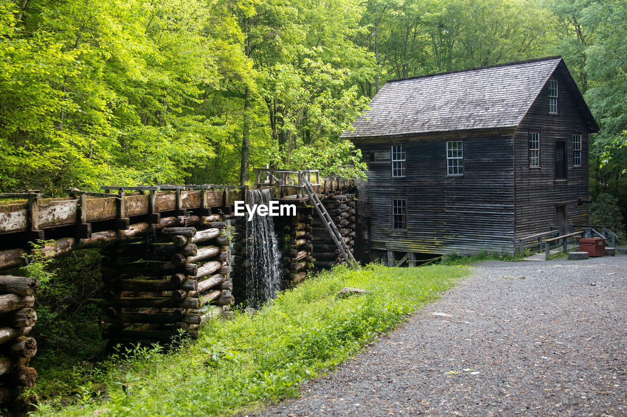 plant, architecture, built structure, tree, rural area, no people, nature, building exterior, green, day, growth, building, house, cottage, wood, outdoors, grass, landscape, land, tranquility, rural scene, hut, beauty in nature, garden