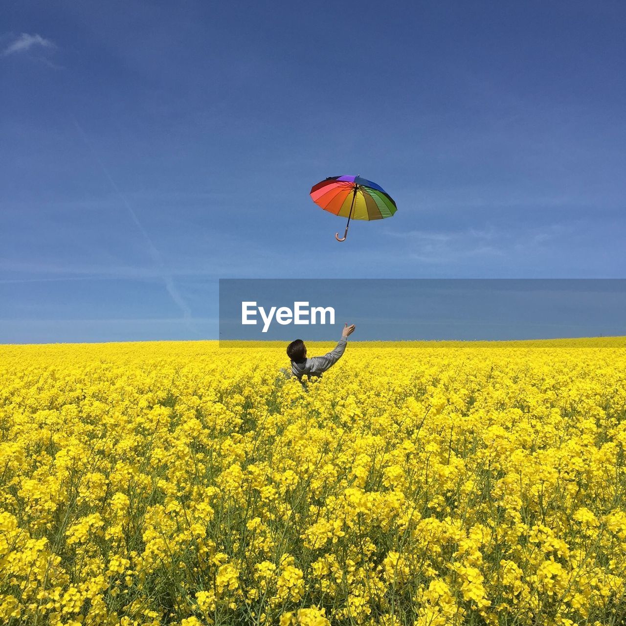 Man catching colorful umbrella on oilseed rape field against sky