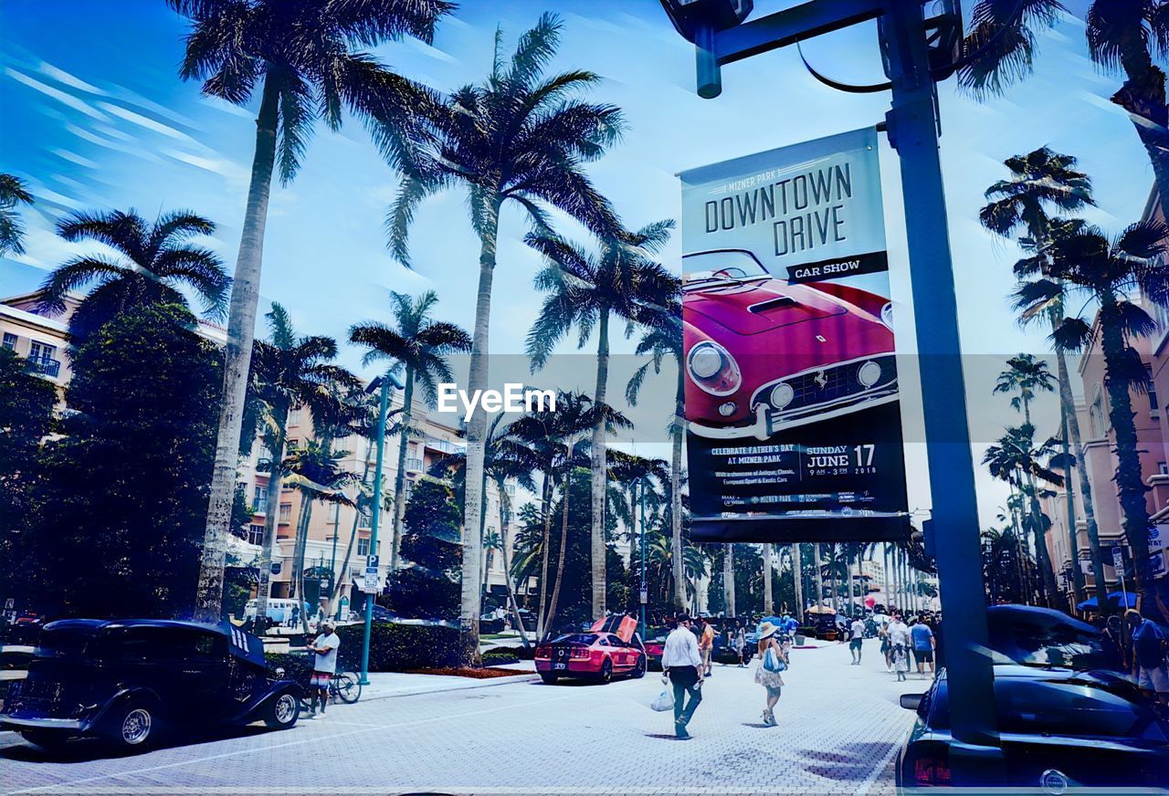 PEOPLE WALKING ON ROAD BY PALM TREES AND BUILDINGS