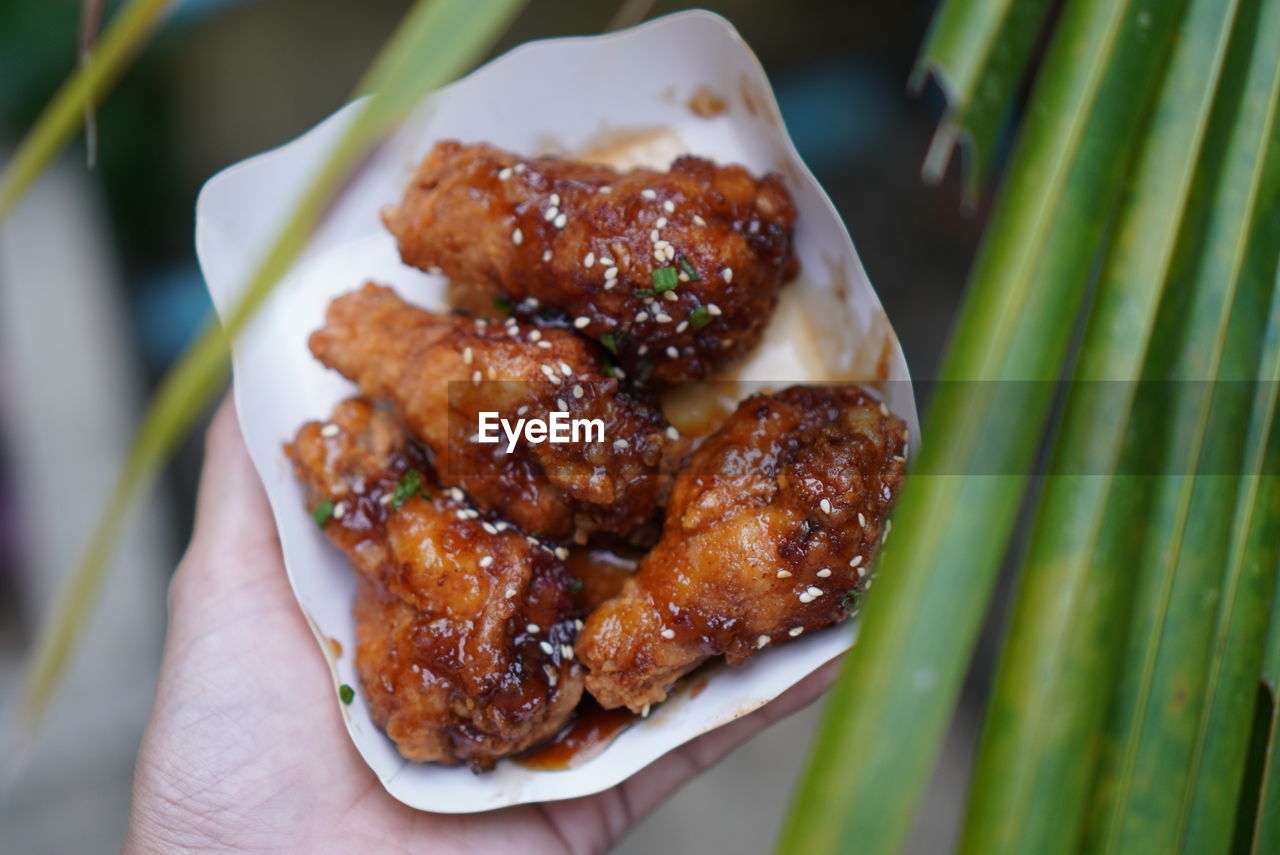 Close-up of hand holding chicken and leaves