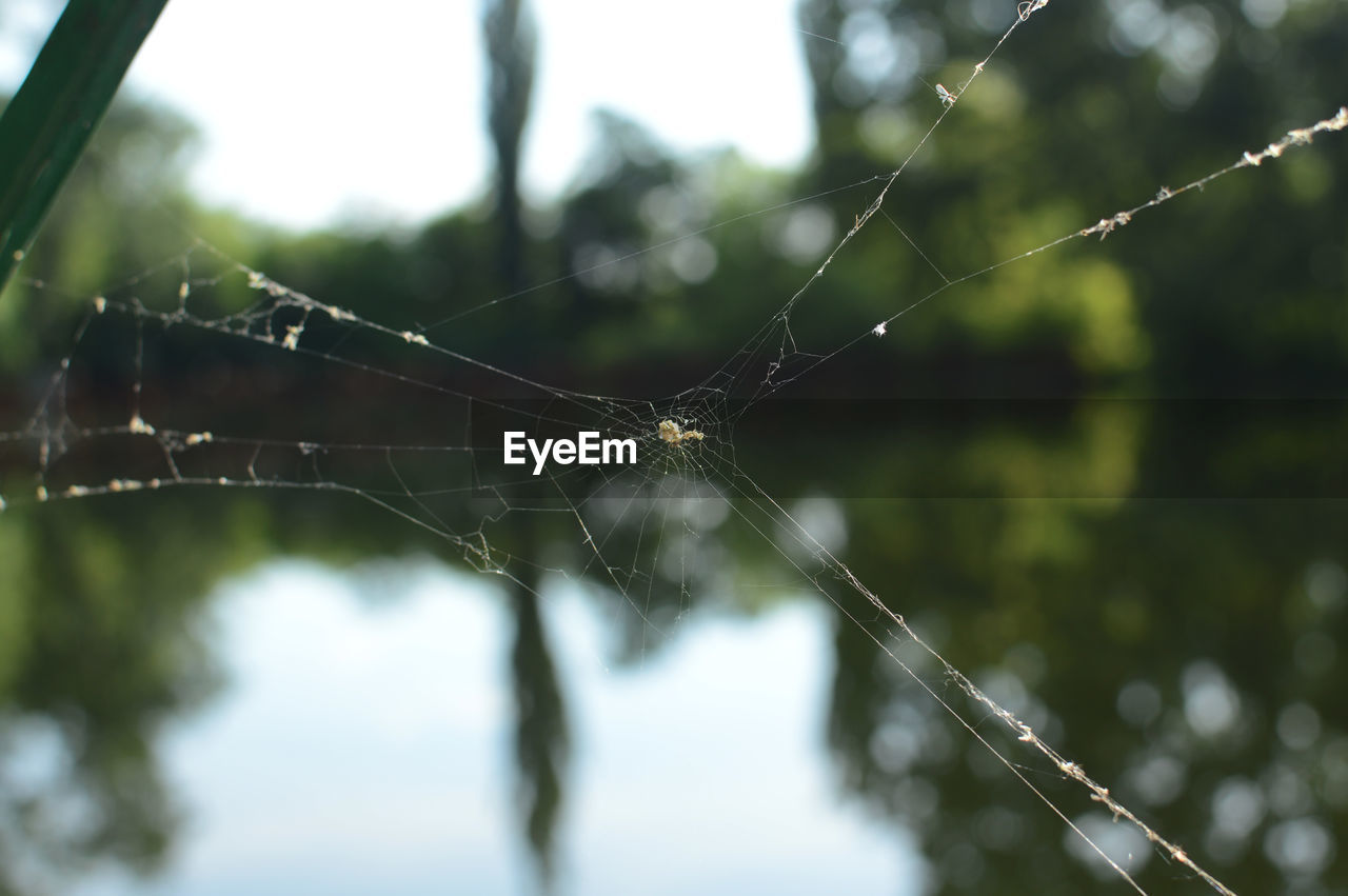 Close-up of spider web against lake reflection