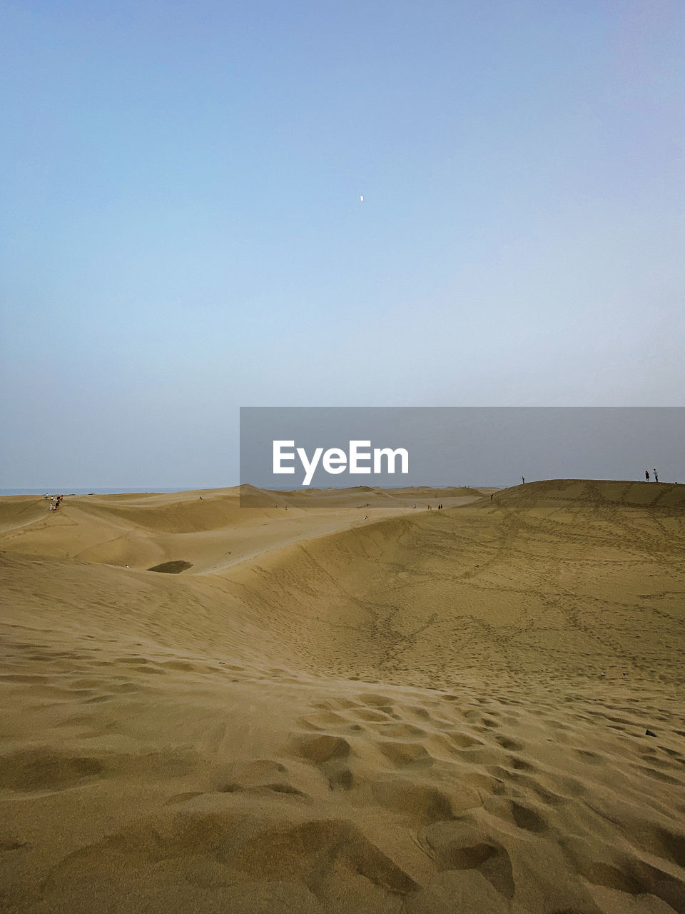 SCENIC VIEW OF SAND DUNE AGAINST CLEAR SKY