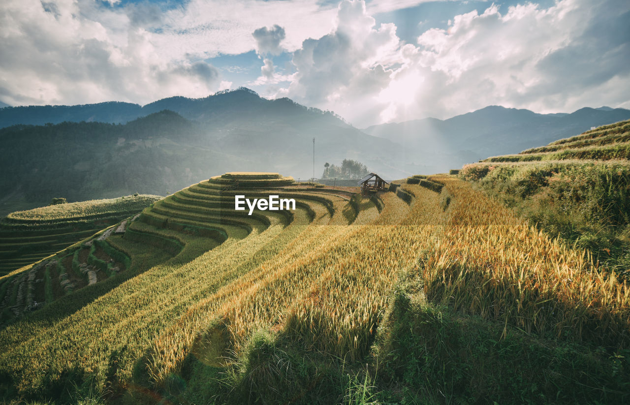 Panoramic view of agricultural field against sky