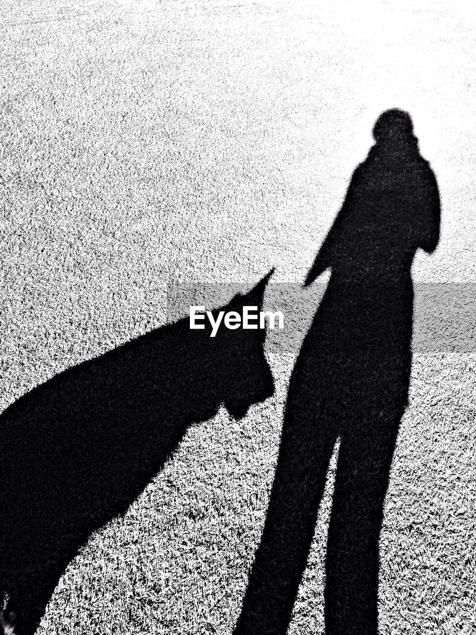Shadow of man and dog on ground