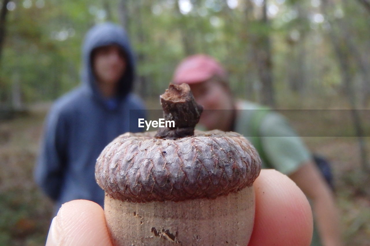 Cropped image of person holding acorn with family in background