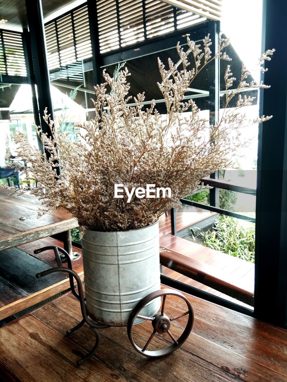 CLOSE-UP OF POTTED PLANT ON TABLE BY WINDOW