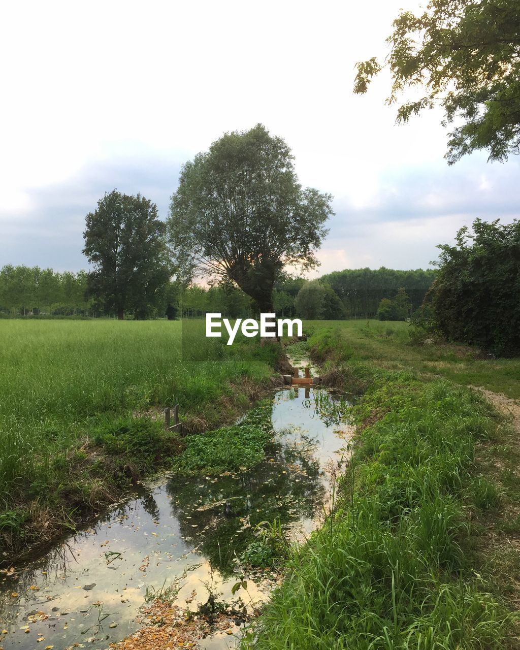 SCENIC VIEW OF POND IN FIELD