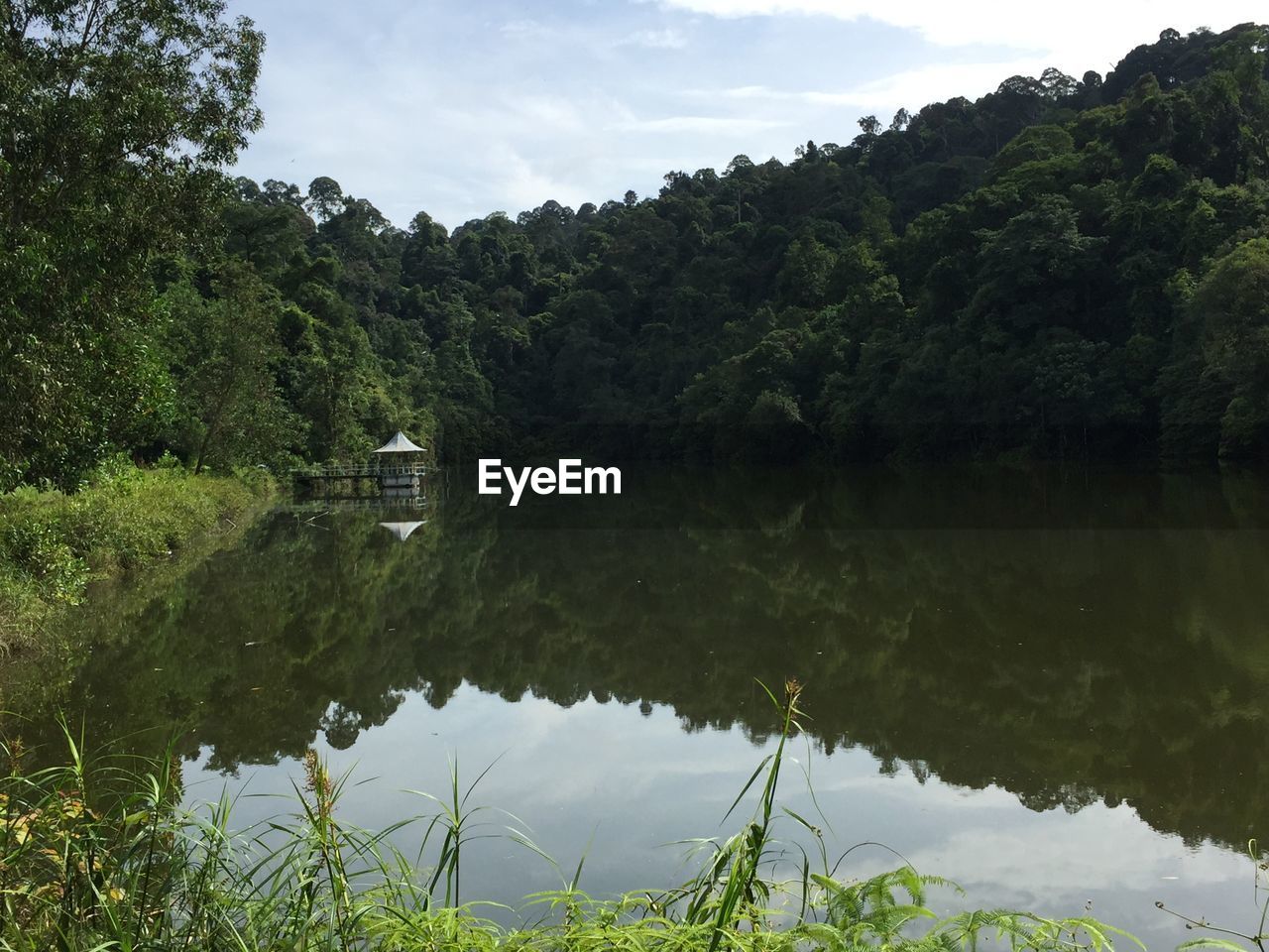 SCENIC VIEW OF LAKE AGAINST TREES