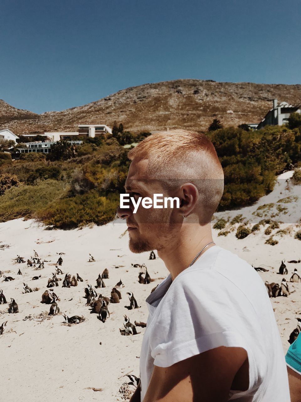 Side view of young man looking away on land during sunny day