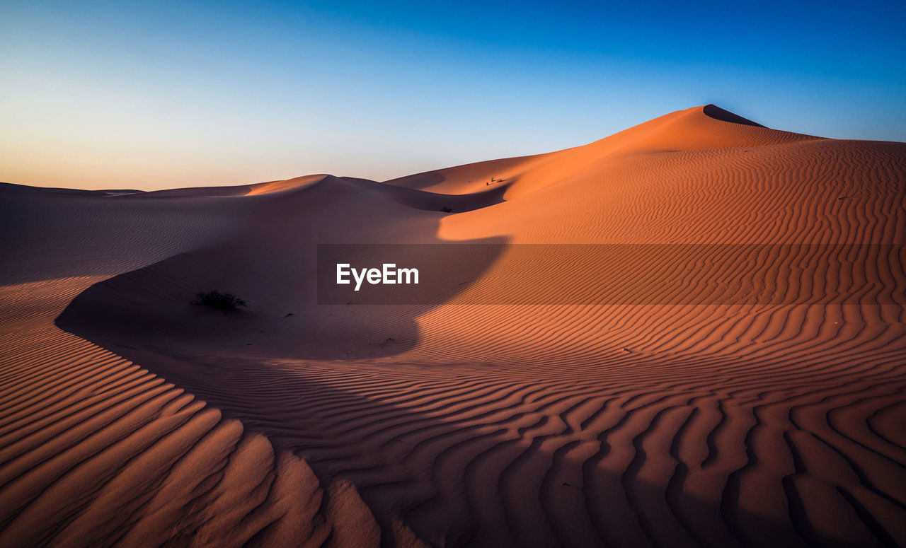 Sand dune in a desert