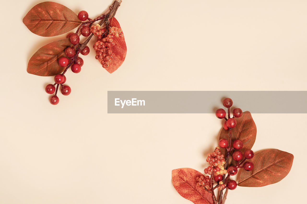 high angle view of christmas decorations on white background