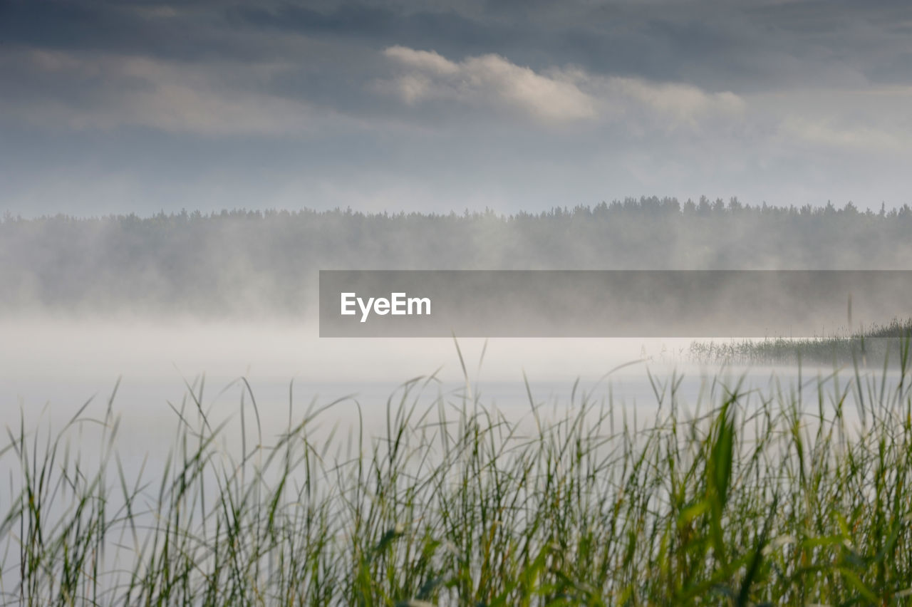 Panoramic view of landscape against sky