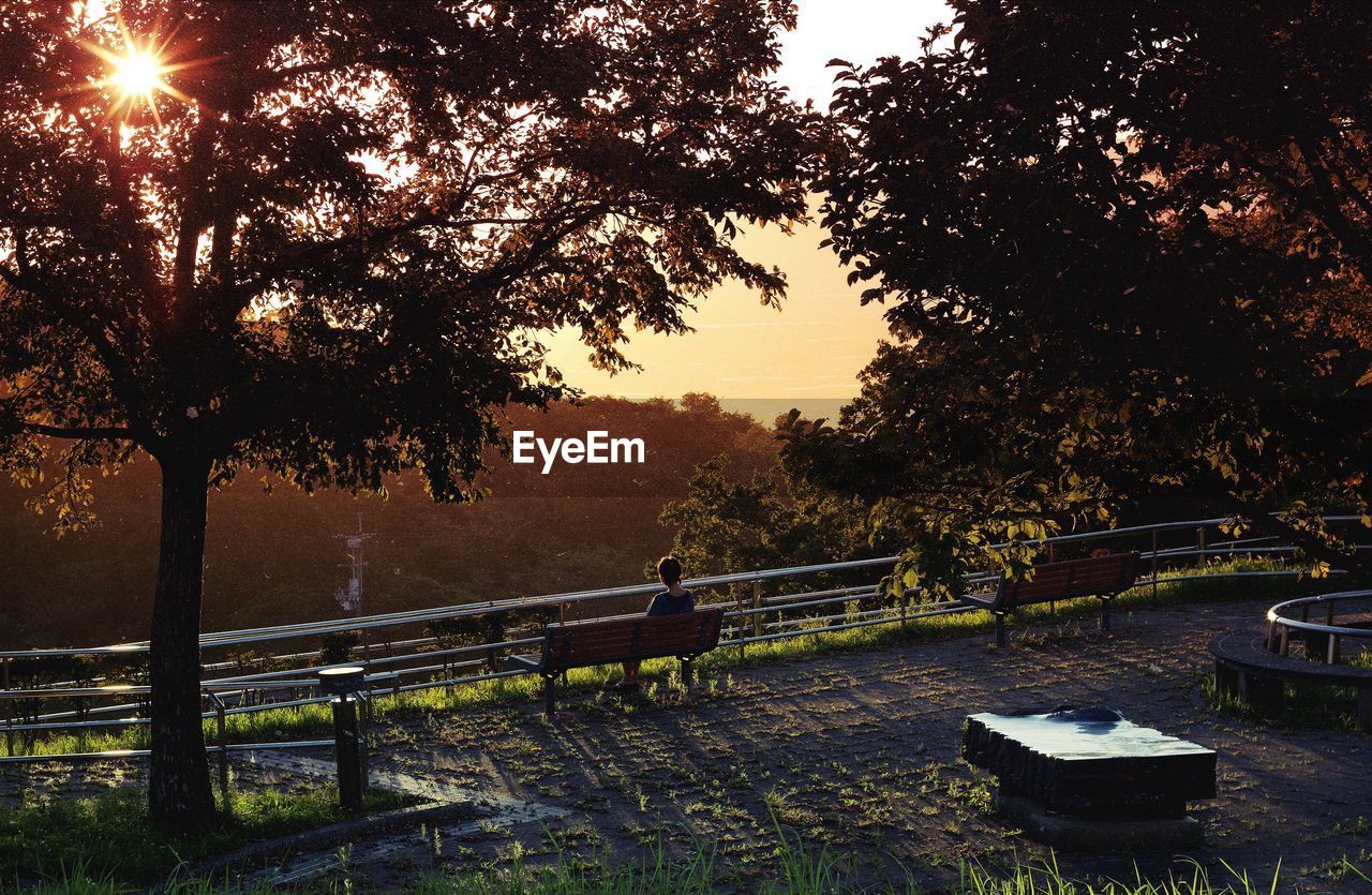 Rear view of person sitting on bench by mountain at morning