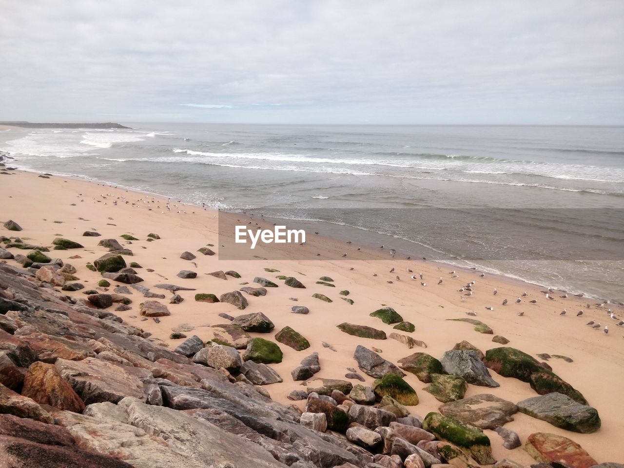 Scenic view of beach against sky