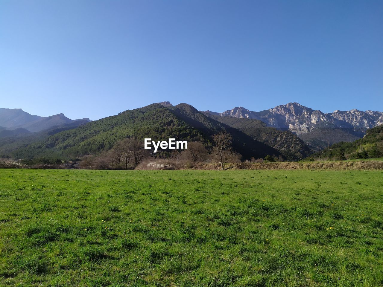 SCENIC VIEW OF LANDSCAPE AGAINST CLEAR SKY