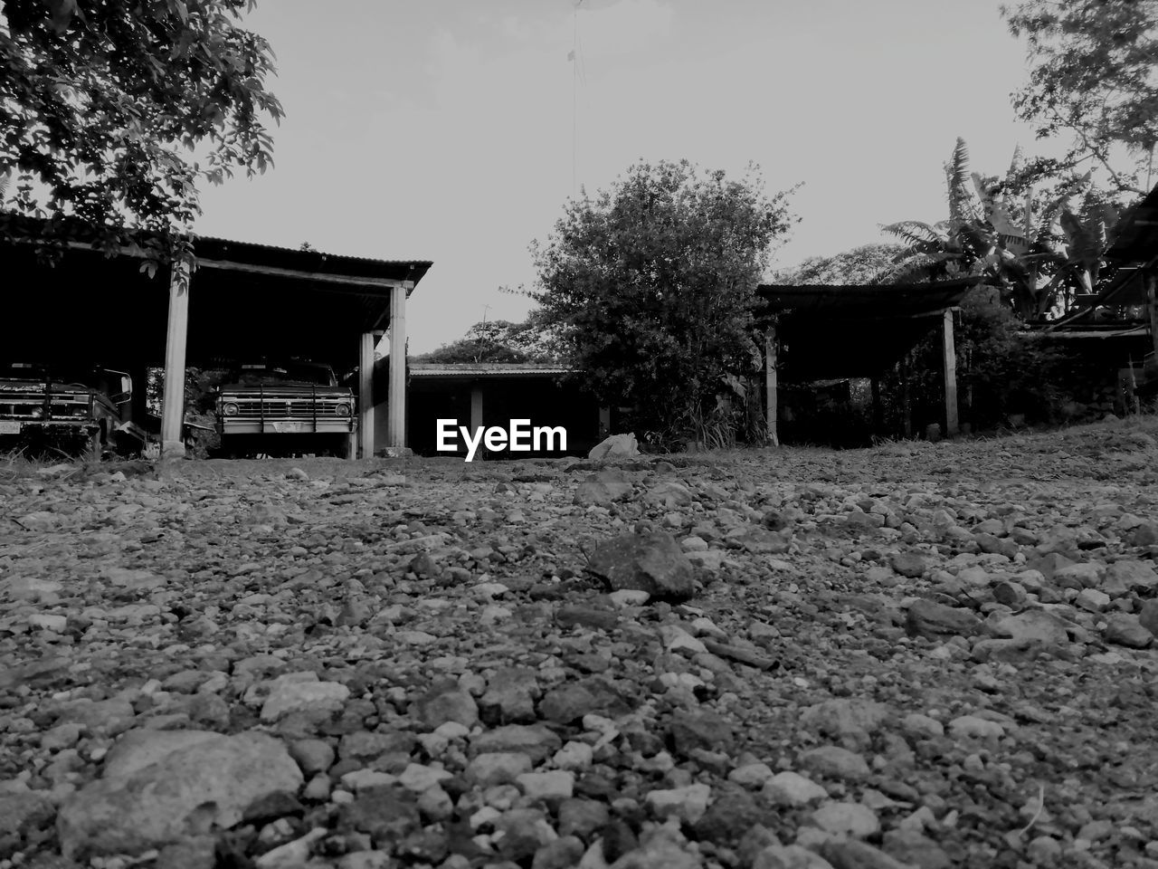 SURFACE LEVEL OF ABANDONED BUILDING