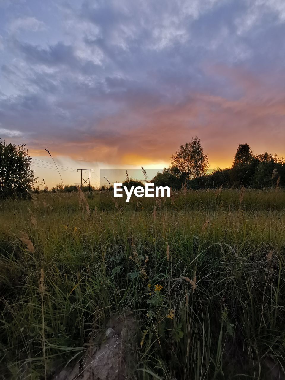 SCENIC VIEW OF FIELD AGAINST SKY AT SUNSET