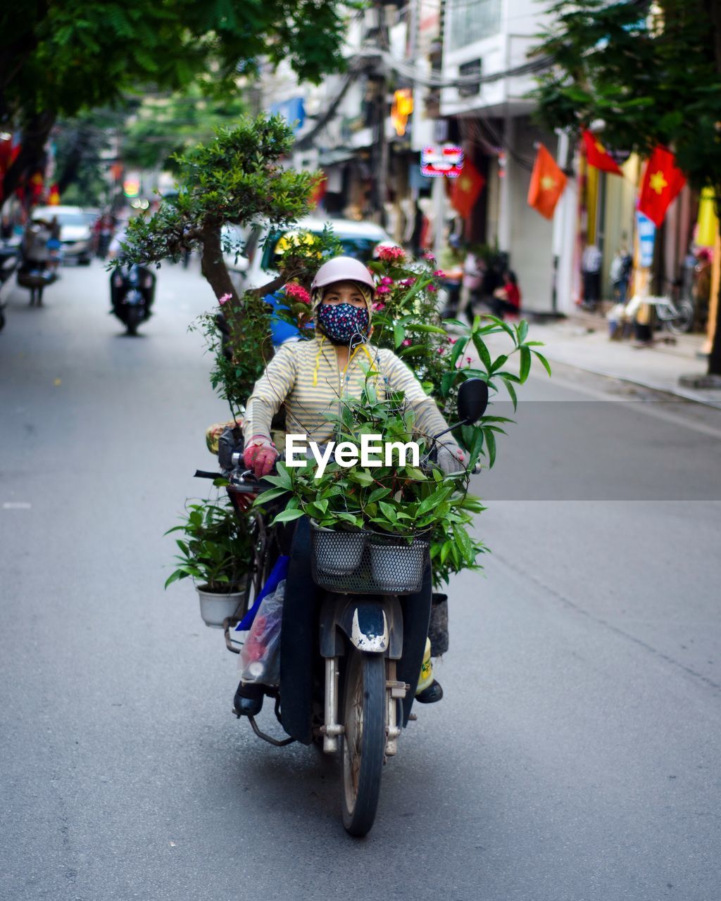 Man with potted plant riding motorcycle on road in city