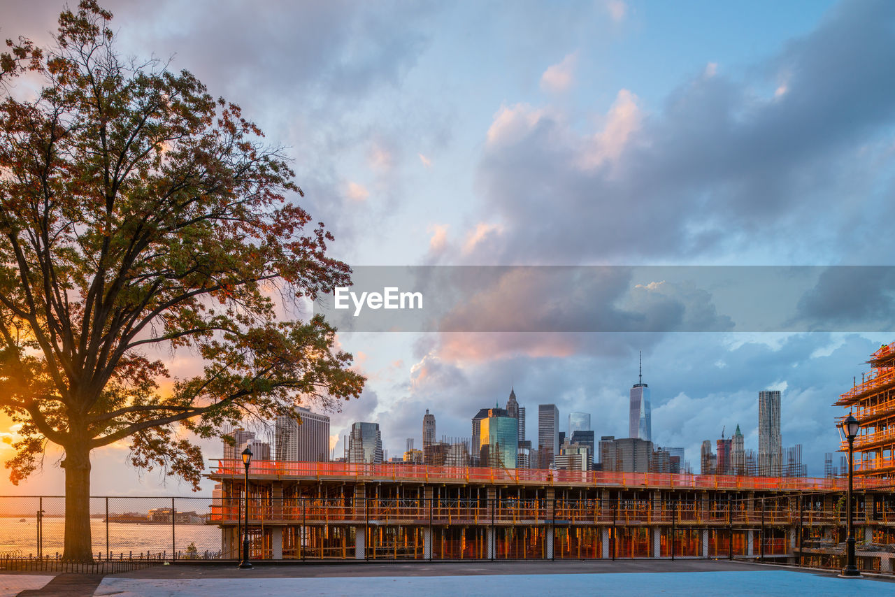 Trees against buildings and cloudy sky during sunset in city