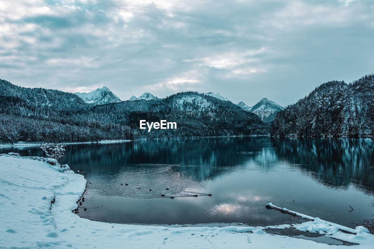 Alpsee near schwangau in winter, germany.