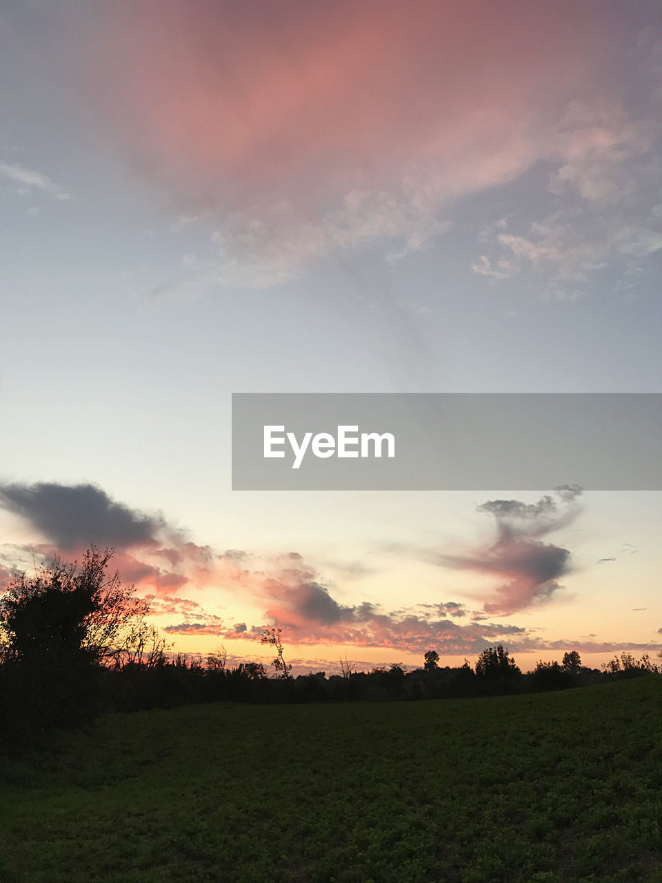 SILHOUETTE TREES ON FIELD AGAINST SKY AT SUNSET