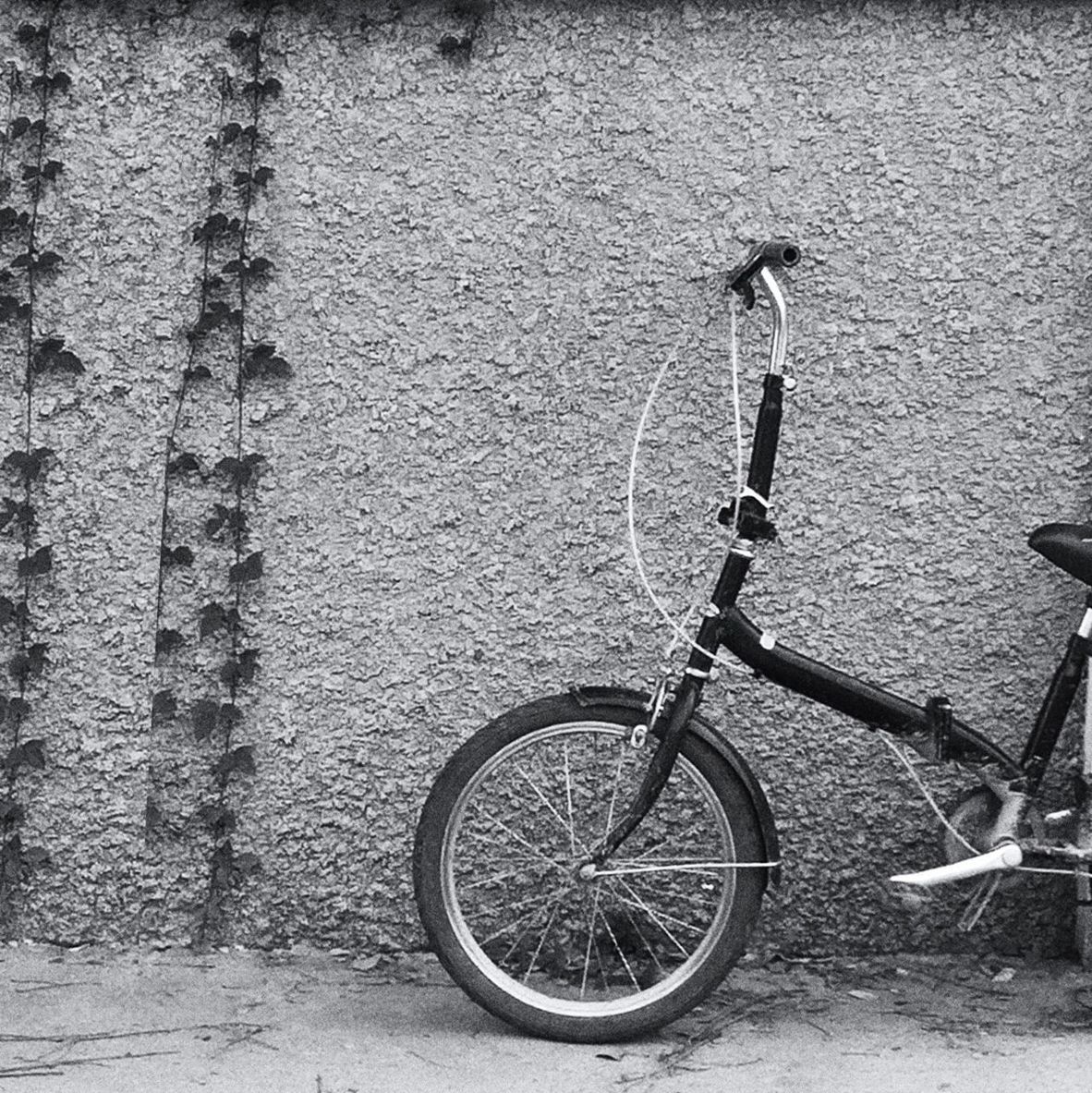 BICYCLES PARKED IN PARKING LOT