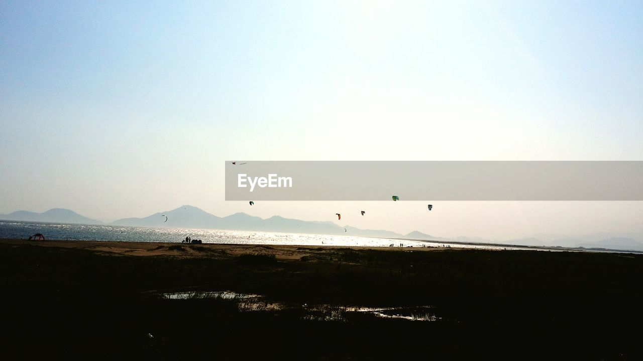 Silhouette birds flying over sea against clear sky