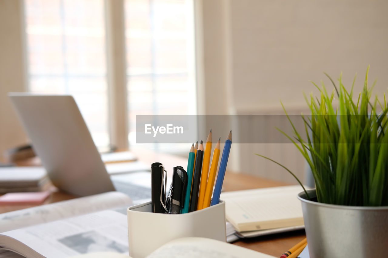 POTTED PLANT ON TABLE WITH LAPTOP